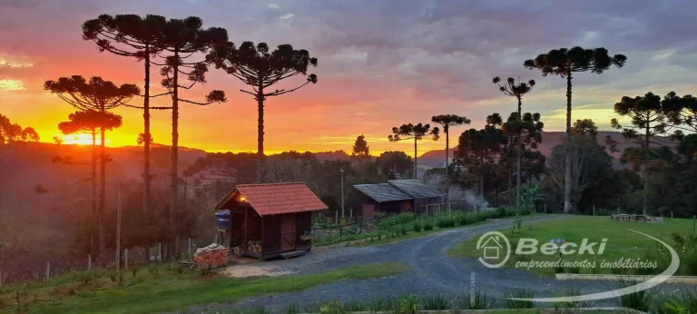 Imagem Chácara em Bairro Rio Vermelho Povoado - São Bento do Sul