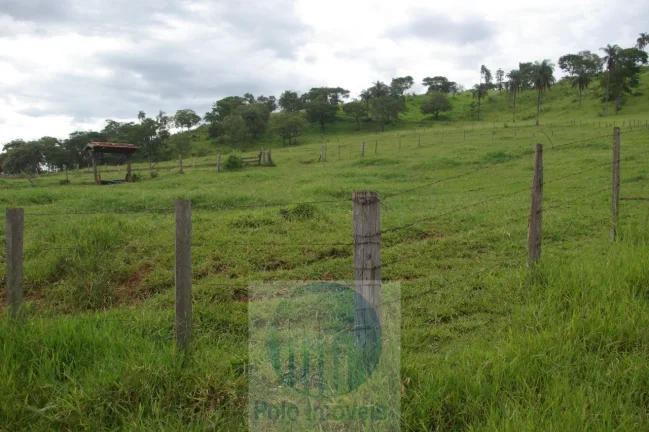 Imagem Fazenda em Cajuru 65,2254 alqueires com 35 alqueires em cana - a 78 km de Ribeirão Preto - SP sentido Casa Branca