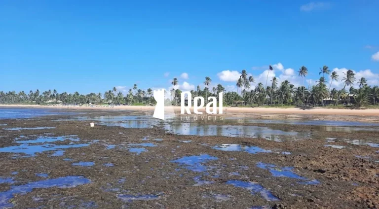 Imagem Lote de Esquina à 200m da praia