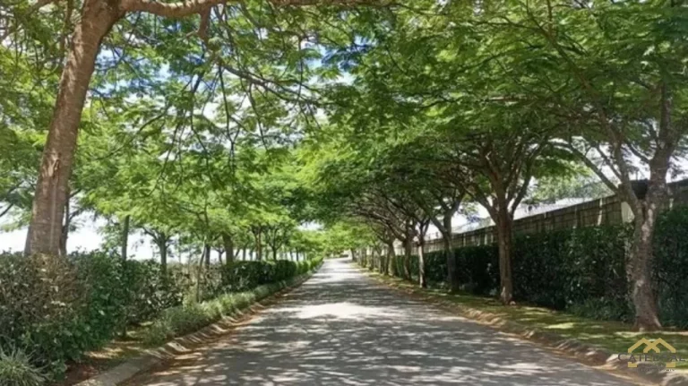 Imagem Terreno no Terra Caxambu por R$632.000,00 - Caxambu - Jundiaí/SP