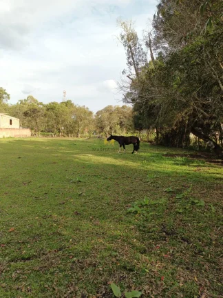 Imagem Terreno, 1800m2, à venda em Piraquara, Vila Marumbi
