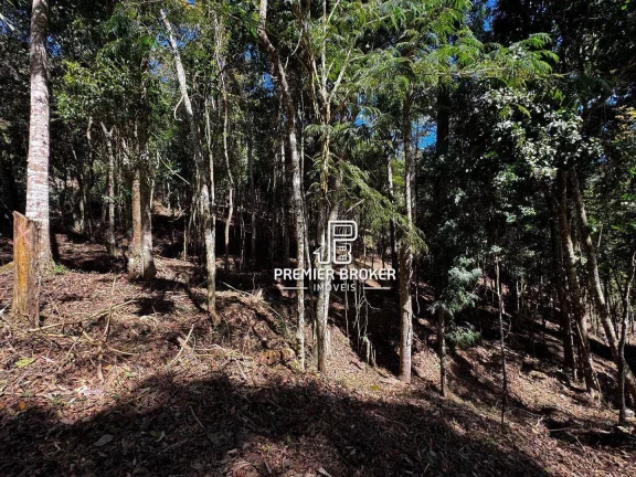 Imagem Terreno à venda, 10.793m² por R$ 440.000 - Albuquerque - Teresópolis/RJ