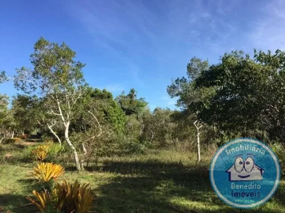 Imagem Gleba de Terra para Venda no Litoral -Região Caraívas R$750.000,00