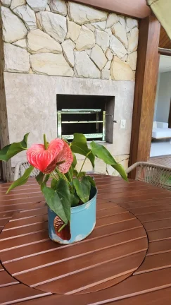 Imagem Casa alto padrão localizada em Praia do Forte condomínio com acesso ao mar Praia Bella.