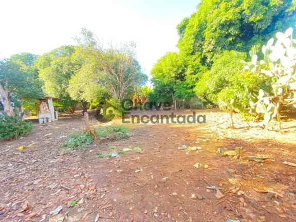 Imagem Casas / Geminada na cidade de Birigui