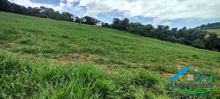 Imagem Invista em Sustentabilidade: Sítio com Nascentes e Preservação