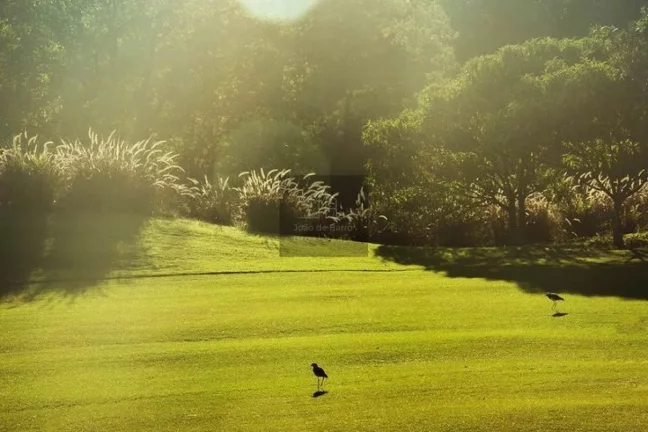 Imagem Terreno à venda, 1000 m² por R$ 800.000,00 - Vila Darcy Penteado (Mailasqui) - São Roque/SP