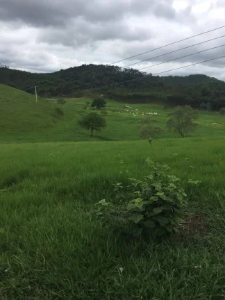 Imagem VENDO FAZENDA COM 30 ALQUEIRES EM SILVA JARDIM, AGUA POR GRAVIDADE