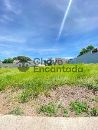 Imagem Lote de 490 metros no Parque Paineiras
