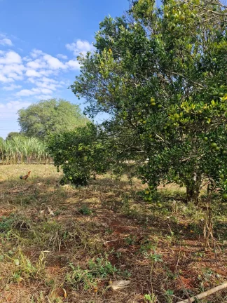 Imagem CHÁCARA COM ÓTIMA LOCALIZAÇÃO NO JD. CANANEIA - PILAR DO SUL