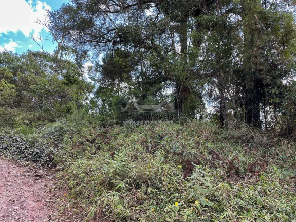 Imagem Terreno à venda em Campos do Jordão - Excelente opção para investimento