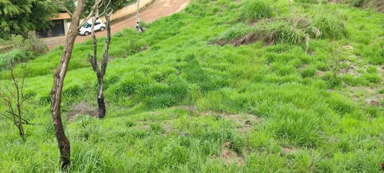 Imagem Excelente Oportunidade! Terreno à Venda no bairro Vitória Régia em Atibaia