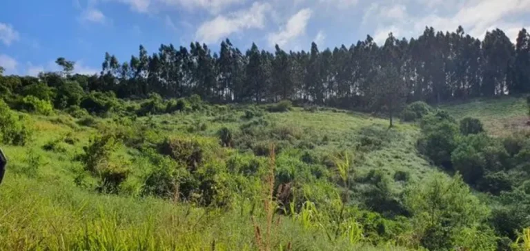 Imagem Sítio à venda em Piedade-SP, bairro Piedade, com 0,01 m² de área: oportunidade imperdível!