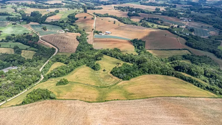 Imagem Chácara com 6 alqueires em Campo Largo