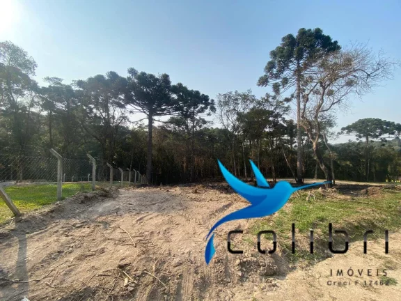 Imagem Terreno à Venda, 2.141 m² em Leão - Agudos Do Sul