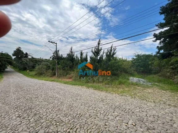 Imagem Terreno à venda, 4973 m² por R$ 3.500.000,00 - Paisagem Renoir - Cotia/SP