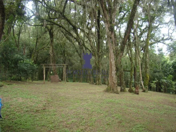 Imagem CHÁCARA EM CAMPO LARGO COM 8.655,80M2.
Belíssima Chácara com 8.655,80 m2,localizada em região no...