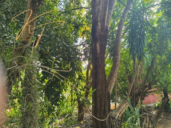 Imagem CHACARA RESIDENCIAL em VALINHOS - SP, CHÁCARAS SÃO BENTO