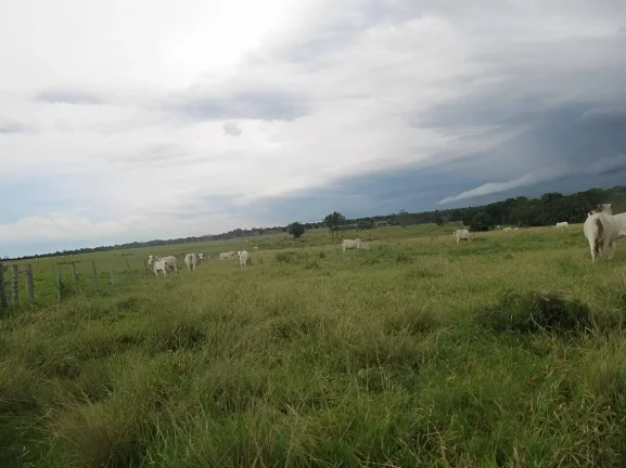 Imagem Fazenda a venda em Pontes e Lacerda - MT