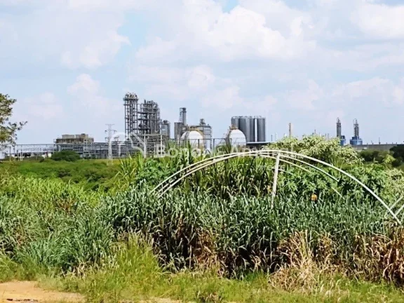 Imagem Venda, área industrial, bairro Bonfim, em Paulínia!
Zoneamento ZD 1 (zona de desenvolvimento indus...