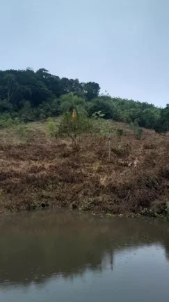 Imagem Sítio para Venda em Sete Barras, Rural