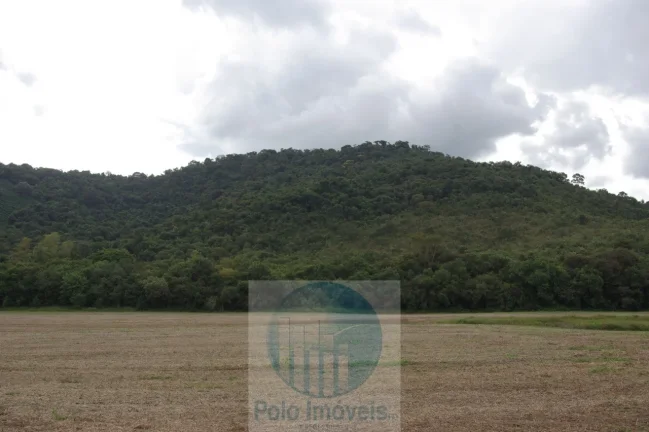 Imagem Sitio 8,23 alqueires ou 19,93 ha para compensação de Reserva, R$ 60 mil o alqueire - Jacuí - Minas Gerais.