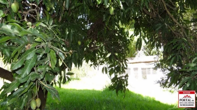 Imagem VENDO BELO SITIO EM ESMERALDAS, JUNTO AO CONDOMÍNIO IPÊ AMARELO. AMPLA ÁREA DE LAZER, PISCINA, SAUNA, QUADRA E LAGOA COM MUITO PEIXE