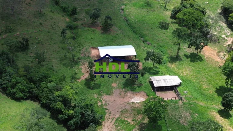 Imagem Fazenda Top para Criação de Gado 100 Kms de Goiânia