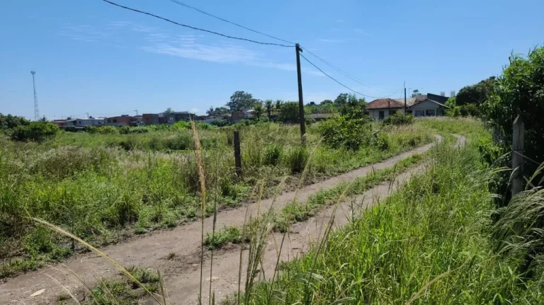 Imagem Área à venda, 15000 m² por R$ 4.530.000,00 - Caxangá - Suzano/SP