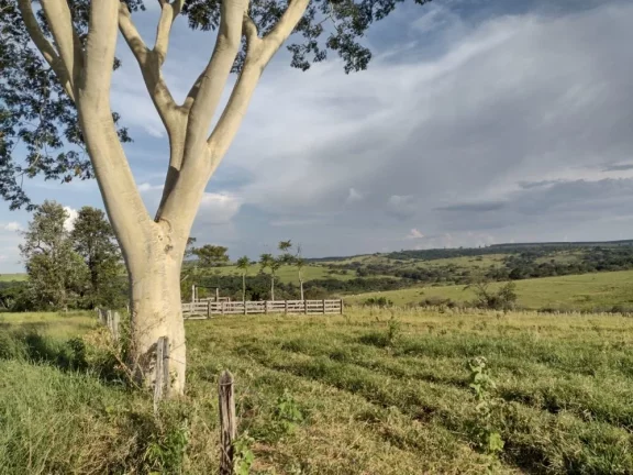 Imagem Sítio a VENDA, Avaí/SP, Área Rural, 10 alqueires