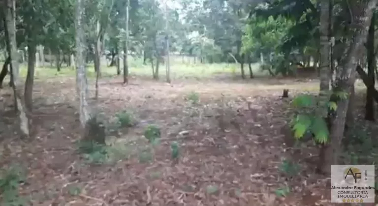 Imagem Lote em Condomínio Fechado para Venda em Senador Canedo, Residencial Villa Verde
