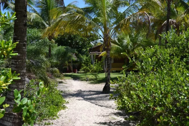 Imagem ÁREA NA PRAIA DO GUAIÚ NO EXTREMO SUL DA BAHIA