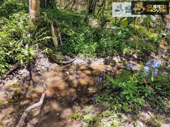 Imagem Chácara 3 hectares para Venda na BR em Cascata Pelotas-RS
