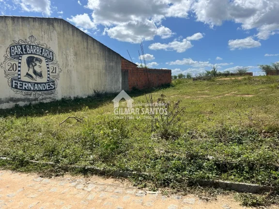 Imagem Lote/Terreno no bairro Venezão, em Coronel João Sá