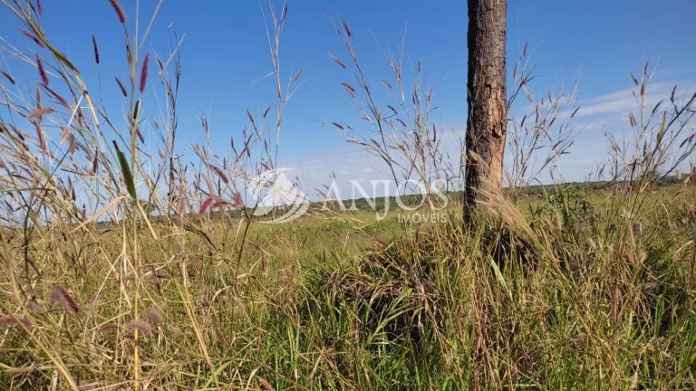 Imagem Sítio 68 HÉCTARES A 80 KM DE SINOP à venda, ÁREA RURAL, SINOP - MT