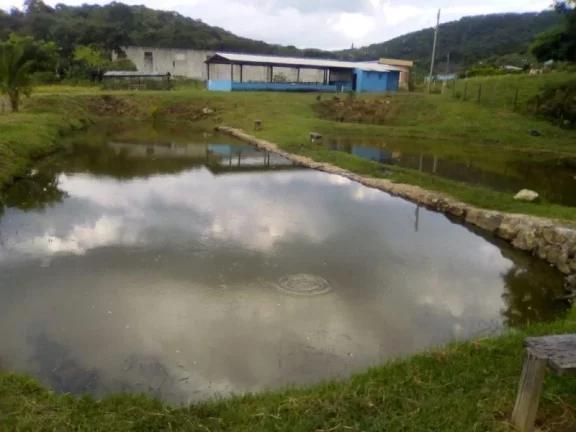 Imagem SÍTIO PREPARADO PARA EVENTOS, COM RESTAURANTE, ETC... SÃO JOSÉ DOS CAMPOS/SP