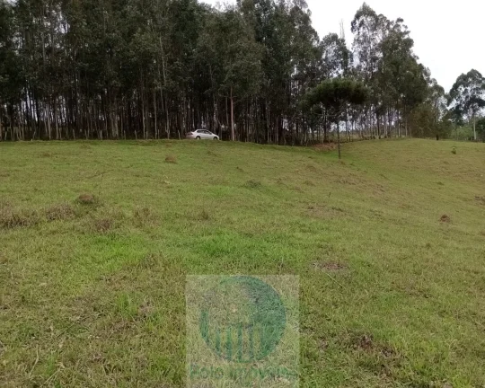 Imagem Sítio 20 ha ou 8,26 alq. a venda, para café, gado Jacui Sul de Minas Gerais
