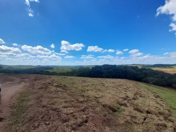 Imagem Fazenda à venda em Ibertioga, ZONA RURAL, 148ha