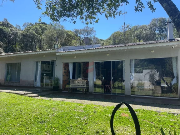 Imagem CASA com 2 dormitórios à venda com 5416m² por R$ 1.600.000,00 no bairro planta laranjeiras - PIRAQUARA / PR