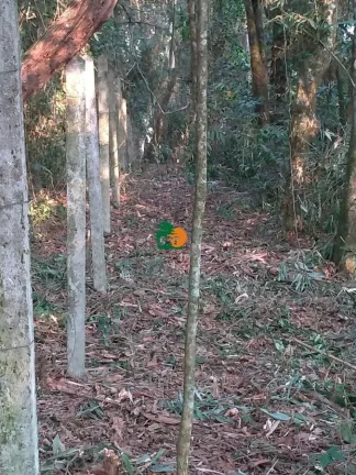 Imagem Terreno para Venda em São Roque, Jardim Dos Andes (mailasqui)