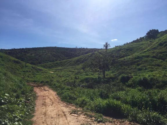 Imagem FAZENDA RURAL em COLATINA - ES, ÁREA RURAL DE COLATINA
