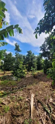 Imagem Sítio à venda, 45.000 m² por R$ 1.200.000 - Área Rural - Monte Mor/SP