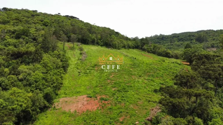 Imagem Chácara - Sítio com 3 Dormitorio(s) localizado(a) no bairro Serra Grande em Igrejinha / RIO GRANDE DO SUL Ref.:1594