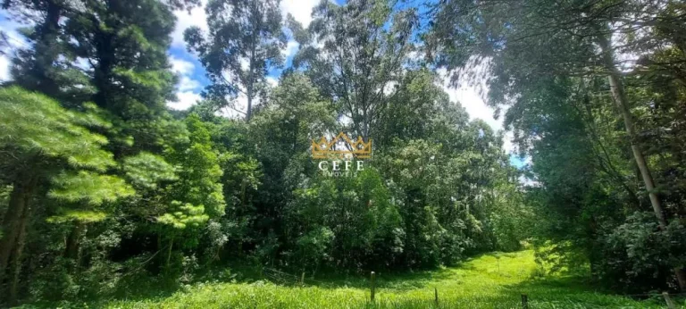 Imagem Chácara - Sítio com 2 Dormitorio(s) localizado(a) no bairro Carapina em São Francisco de Paula / RIO GRANDE DO SUL Ref.:1537