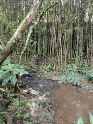 Imagem ÁREA RURAL COM 6.957,50M² EM BALSA NOVA
