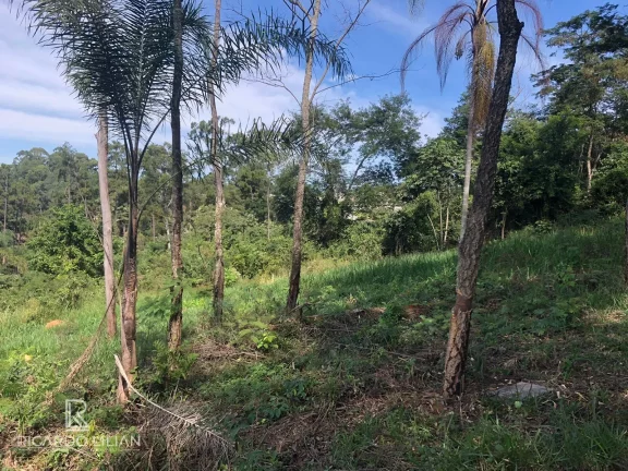 Imagem À venda: um lindo terreno plano de 378m² na encantadora cidade de Bom Jesus dos Perdões!