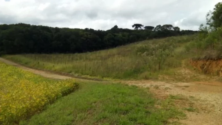 Imagem Terreno em Campo Magro
