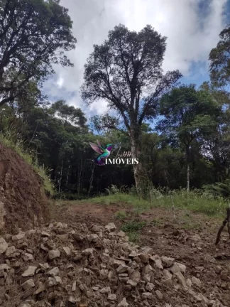 Imagem Terreno à venda no bairro Santa Terezinha em Canela/RS