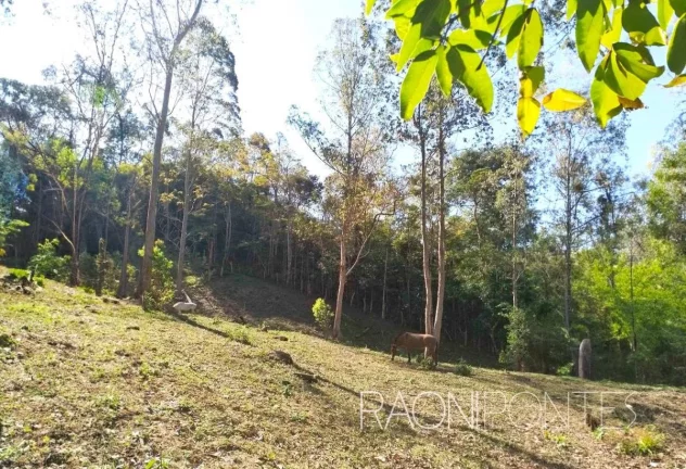 Imagem Fazenda à Venda, 70.000 m² em Sodrelândia - Trajano De Morais