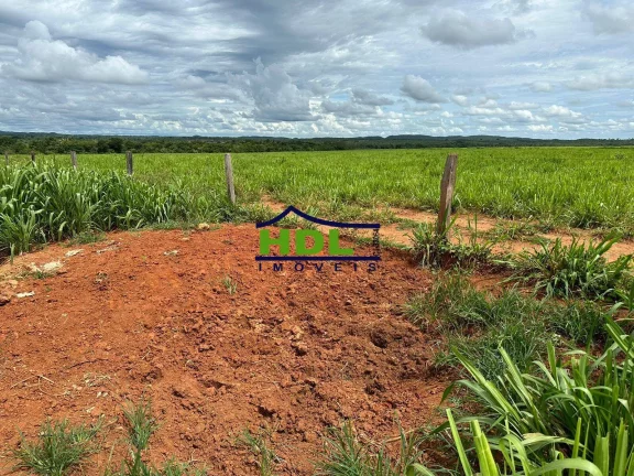 Imagem Fazenda dupla aptidão a venda em Nova Xavantina-MT